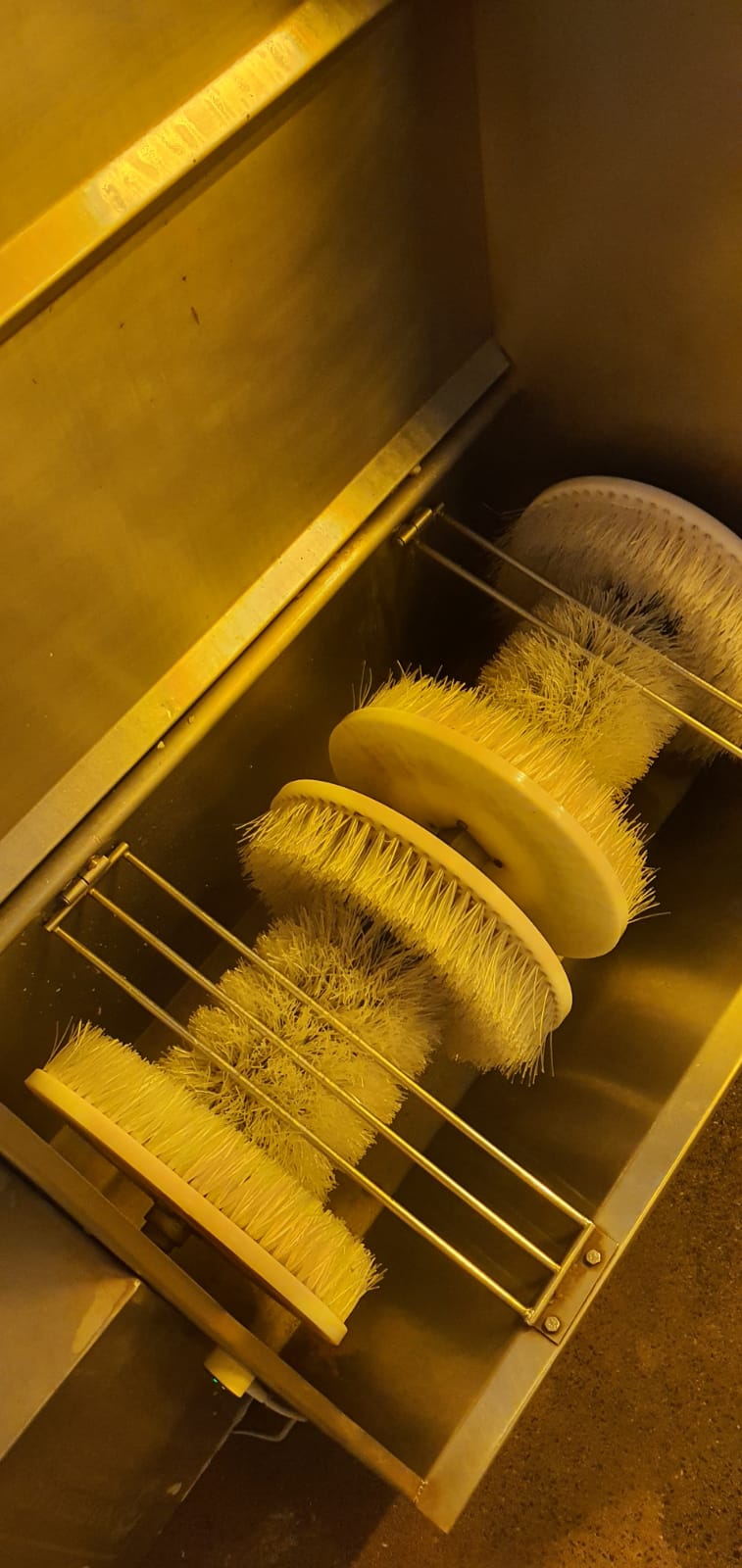 Imagem do WhatsApp de 2023-10-31 à(s) 08.53.52_354918be.jpg